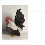 Japanese Bantam Grey Cock by Anonymous
