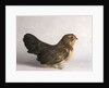 Belgian d'Anver Hen by Anonymous