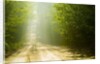 Rural Road by Anonymous
