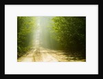 Rural Road by Anonymous