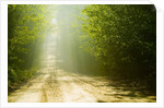 Rural Road by Anonymous