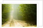 Rural Road by Anonymous
