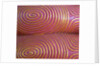 Toe Detail on Reclining Buddha by Anonymous