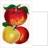 Illustration of Red and Yellow Apples by Anonymous