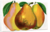 Illustration of Pear Varieties by Anonymous