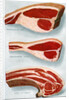 Illustration of Three Cuts of Beef by Anonymous