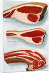 Illustration of Three Cuts of Beef by Anonymous