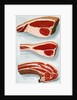 Illustration of Three Cuts of Beef by Anonymous