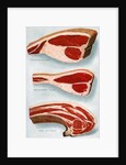 Illustration of Three Cuts of Beef by Anonymous