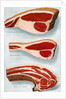 Illustration of Three Cuts of Beef by Anonymous