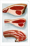 Illustration of Three Cuts of Beef by Anonymous