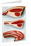 Illustration of Three Cuts of Beef by Anonymous