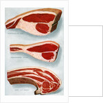 Illustration of Three Cuts of Beef by Anonymous