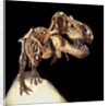 Tyrannosaurus Rex Skeleton by Anonymous