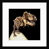 Tyrannosaurus Rex Skeleton by Anonymous