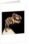 Tyrannosaurus Rex Skeleton by Anonymous