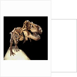 Tyrannosaurus Rex Skeleton by Anonymous