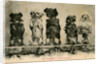 Five Dogs on their Hind Legs Standing in a Row by Anonymous