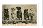 Five Dogs on their Hind Legs Standing in a Row by Anonymous