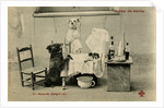Sick Dog in Bed with Two Dogs Attending by Anonymous
