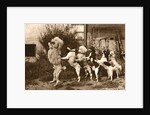 Poodle and Five Dogs Standing on their Hind Legs in a Line by Anonymous