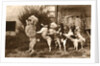 Poodle and Five Dogs Standing on their Hind Legs in a Line by Anonymous