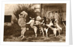 Poodle and Five Dogs Standing on their Hind Legs in a Line by Anonymous