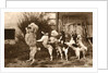 Poodle and Five Dogs Standing on their Hind Legs in a Line by Anonymous