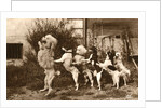 Poodle and Five Dogs Standing on their Hind Legs in a Line by Anonymous