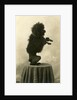 Black Poodle Standing on its Hind Legs on a Table by Anonymous