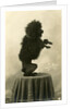 Black Poodle Standing on its Hind Legs on a Table by Anonymous