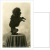 Black Poodle Standing on its Hind Legs on a Table by Anonymous