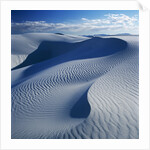 Sand Dune by Anonymous