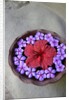 Flowers Floating in Bowl of Water by Anonymous