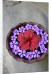 Flowers Floating in Bowl of Water by Anonymous