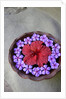 Flowers Floating in Bowl of Water by Anonymous