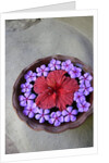 Flowers Floating in Bowl of Water by Anonymous