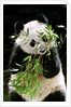 Giant Panda Eating Bamboo by Anonymous