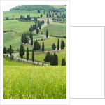 Winding Country Road by Anonymous