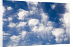 Wind Swept Clouds in Blue Sky by Anonymous