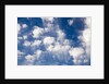 Wind Swept Clouds in Blue Sky by Anonymous