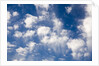 Wind Swept Clouds in Blue Sky by Anonymous