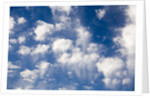 Wind Swept Clouds in Blue Sky by Anonymous