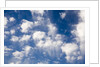 Wind Swept Clouds in Blue Sky by Anonymous
