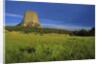 Devils Tower National Monument by Anonymous