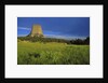 Devils Tower National Monument by Anonymous