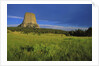 Devils Tower National Monument by Anonymous