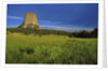 Devils Tower National Monument by Anonymous