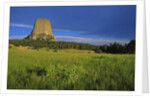 Devils Tower National Monument by Anonymous