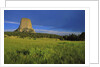 Devils Tower National Monument by Anonymous